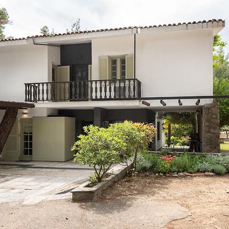 Rose Willow, Vourvourou #Feelslikehome Exterior foto